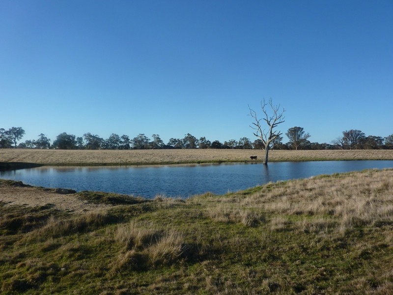 - Sutton Grange Road, Elphinstone VIC 3448