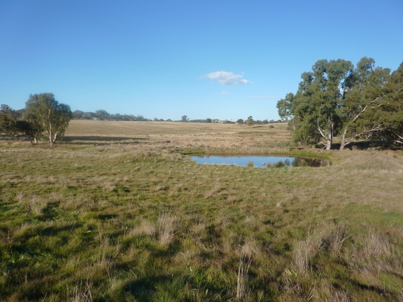 - Sutton Grange Road, Elphinstone VIC 3448