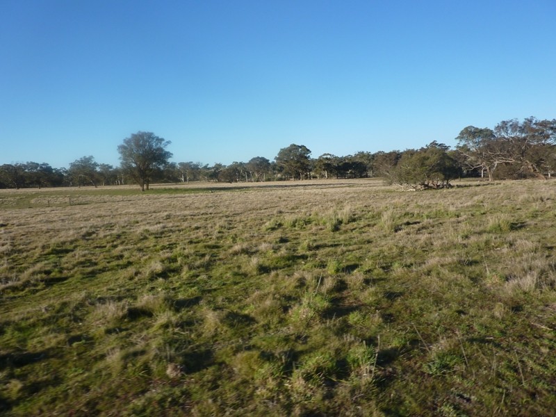 - Sutton Grange Road, Elphinstone VIC 3448