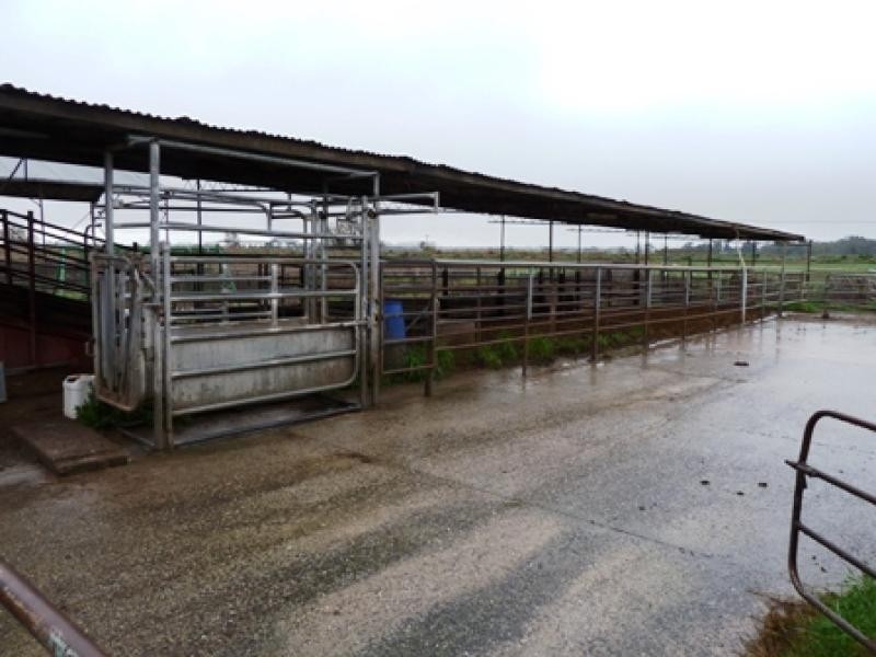 360 CENTRE ROAD, Nathalia VIC 3638