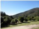 118 Growlers Creek Road, Wandiligong VIC 3744