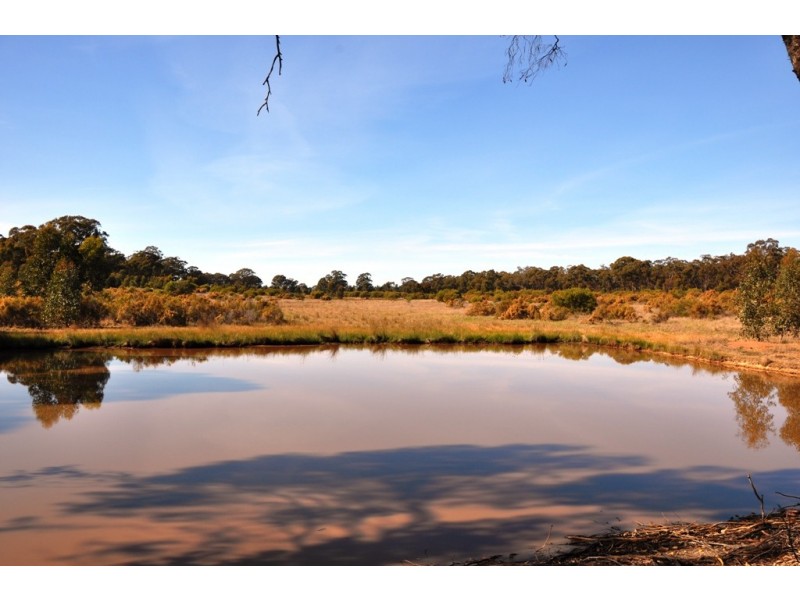 1201 Basin rd, Murchison VIC 3610