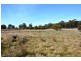 1201 Basin rd, Murchison VIC 3610