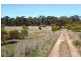 1201 Basin rd, Murchison VIC 3610