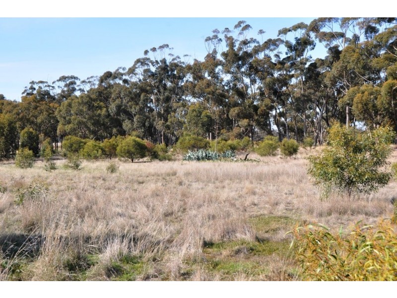 1201 Basin rd, Murchison VIC 3610