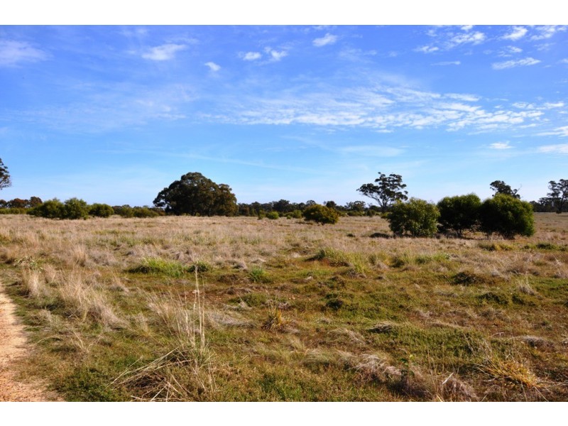 1201 Basin rd, Murchison VIC 3610