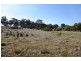1201 Basin rd, Murchison VIC 3610
