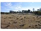 1201 Basin rd, Murchison VIC 3610