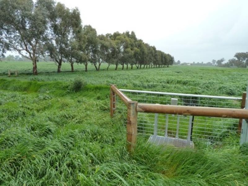 CURR ROAD, Girgarre VIC 3624