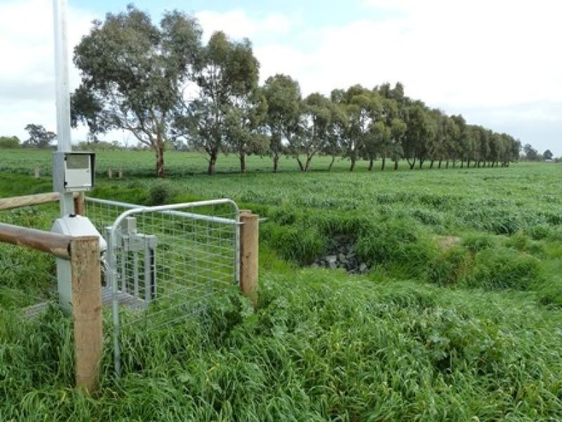 CURR ROAD, Girgarre VIC 3624