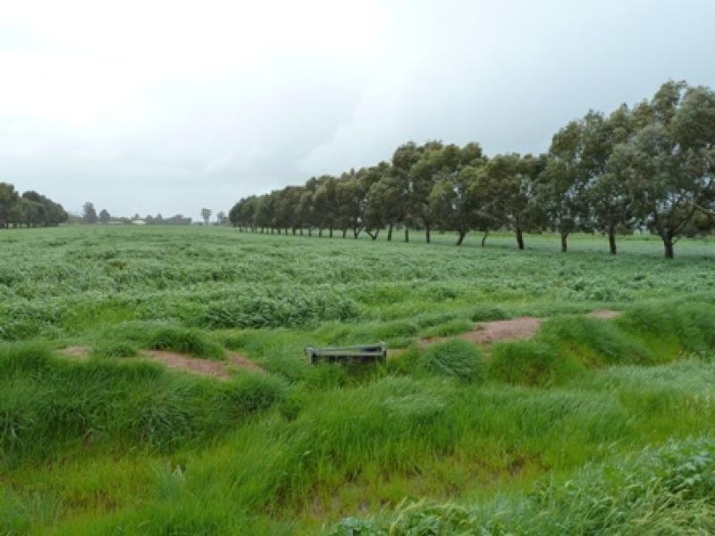 CURR ROAD, Girgarre VIC 3624