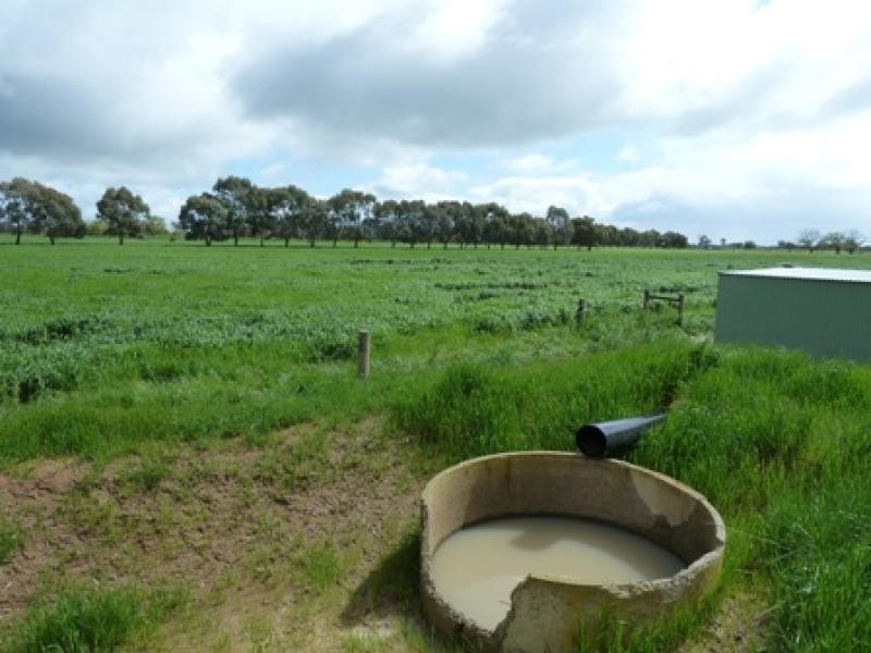 CURR ROAD, Girgarre VIC 3624