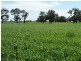 0 Cobb Highway, Moama NSW 2731