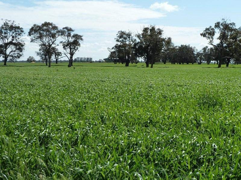 0 Cobb Highway, Moama NSW 2731