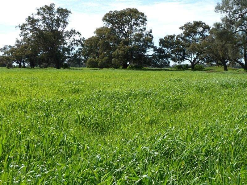 0 Cobb Highway, Moama NSW 2731