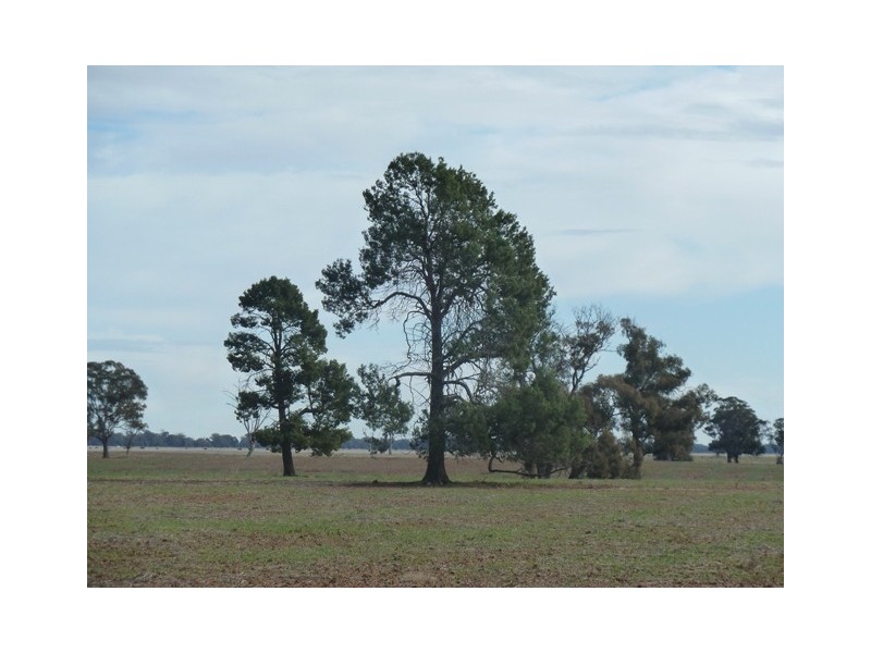 11 Mile Road, Moama NSW 2731