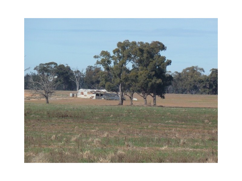 11 Mile Road, Moama NSW 2731