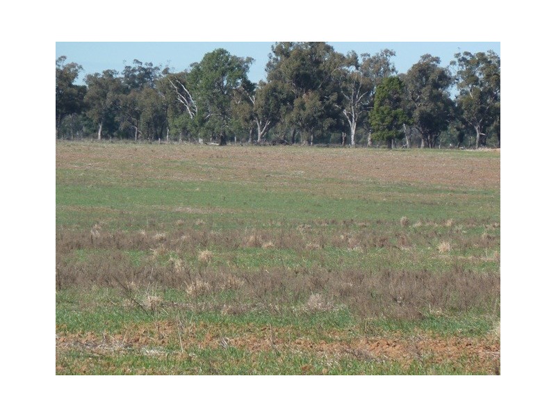 11 Mile Road, Moama NSW 2731