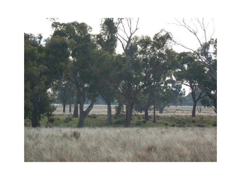 11 Mile Road, Moama NSW 2731