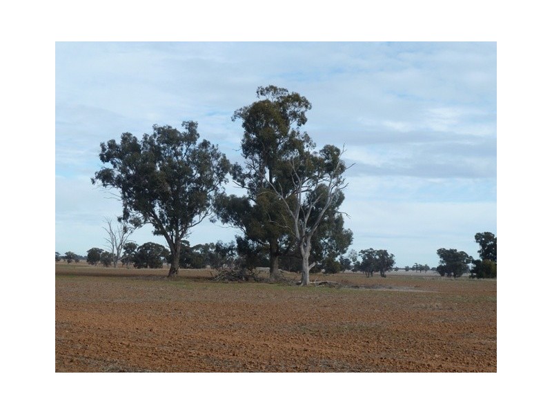 11 Mile Road, Moama NSW 2731