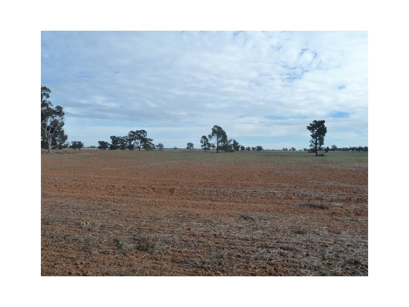 11 Mile Road, Moama NSW 2731