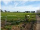 1816 Matheson Road, Tongala VIC 3621