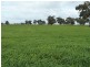 “CobramVale”, Bunnaloo NSW 2731