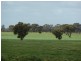 “CobramVale”, Bunnaloo NSW 2731