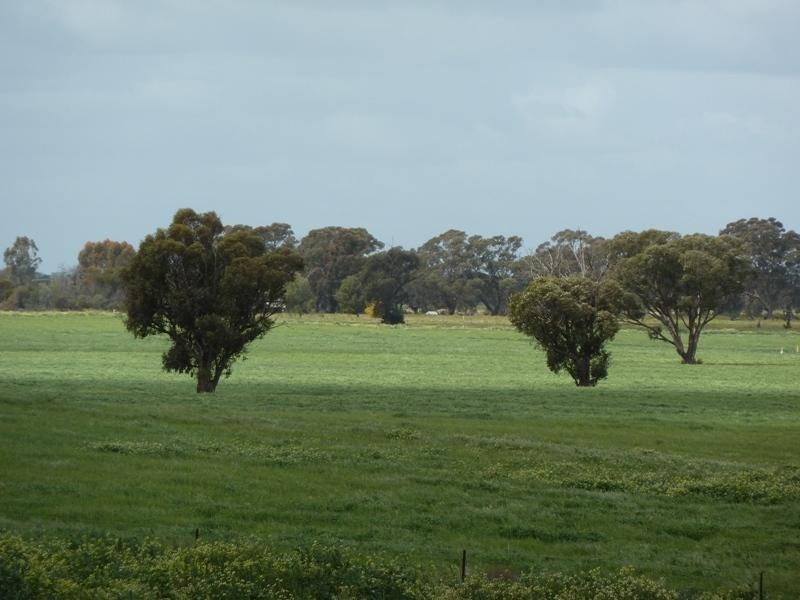 “CobramVale”, Bunnaloo NSW 2731
