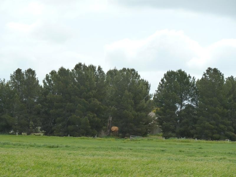 “CobramVale”, Bunnaloo NSW 2731