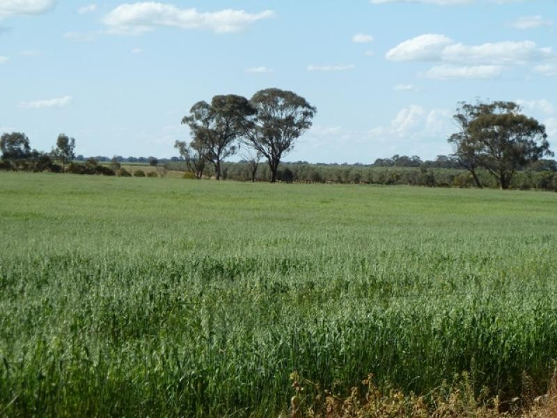 RMB 140 Thyra Road, Moama NSW 2731