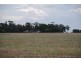 1155 Cosgrove Rd, Katandra VIC 3634