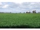 1155 Cosgrove Rd, Katandra VIC 3634