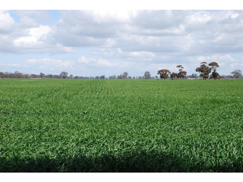 1155 Cosgrove Rd, Katandra VIC 3634
