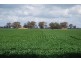 1155 Cosgrove Rd, Katandra VIC 3634