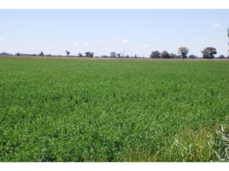 1037 Hendys Rd, Numurkah VIC 3636