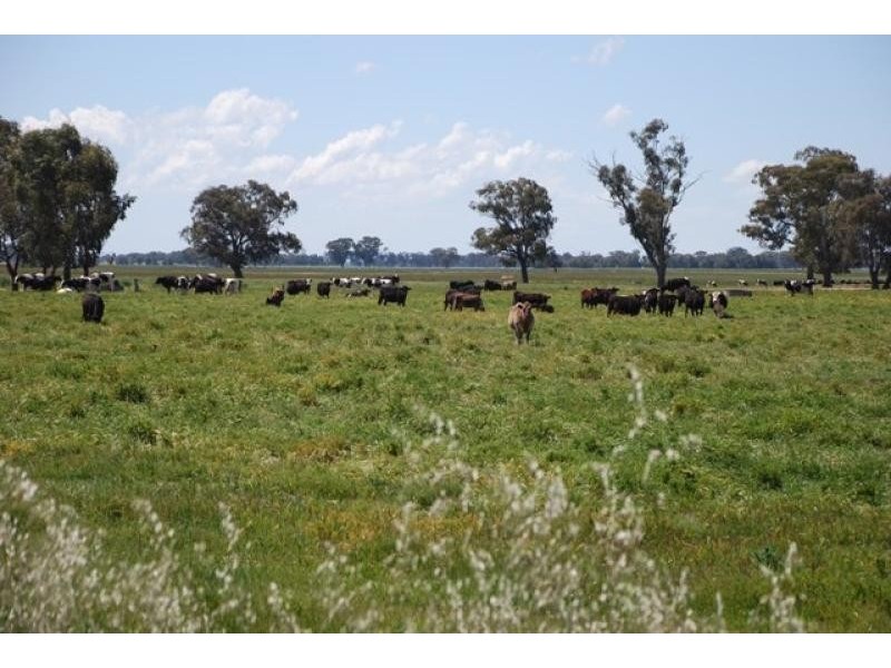 1037 Hendys Rd, Numurkah VIC 3636