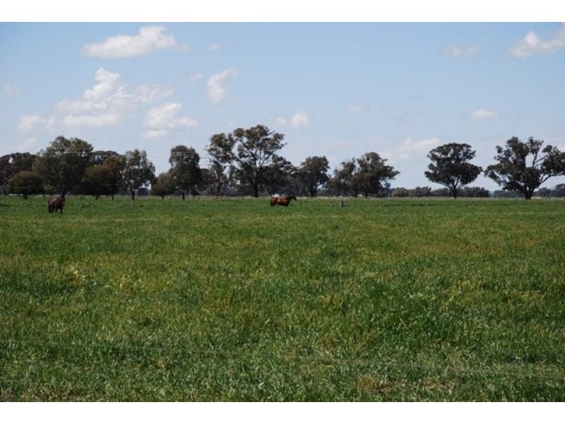 1037 Hendys Rd, Numurkah VIC 3636