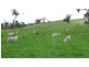 3289 Romsey Road, Chintin via, Romsey VIC 3434