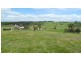 3289 Romsey Road, Chintin via, Romsey VIC 3434