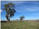 - Crn Conlans Rd, Old Calder Highway, Taradale VIC 3447
