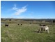 - Crn Conlans Rd, Old Calder Highway, Taradale VIC 3447