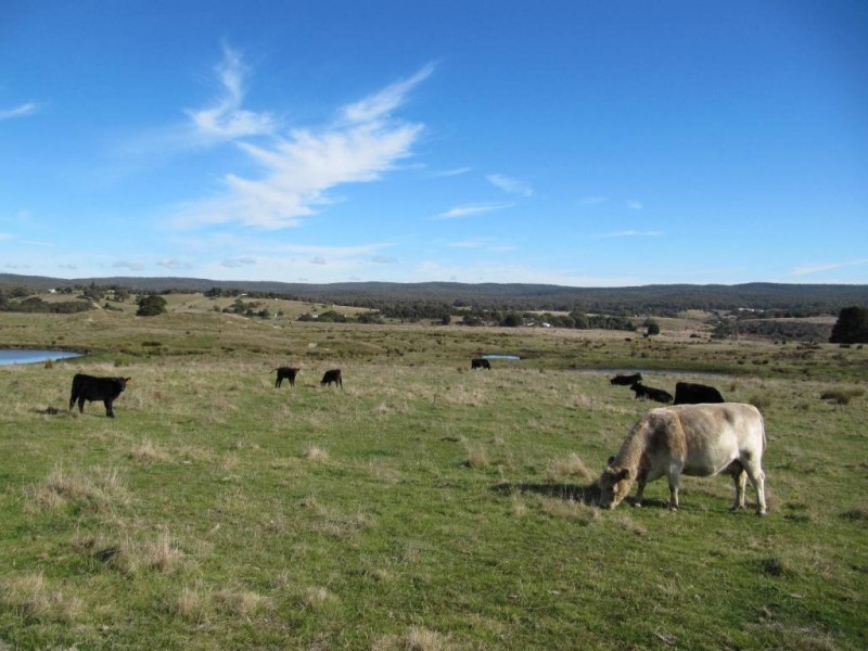 - Crn Conlans Rd, Old Calder Highway, Taradale VIC 3447