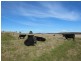 - Crn Conlans Rd, Old Calder Highway, Taradale VIC 3447
