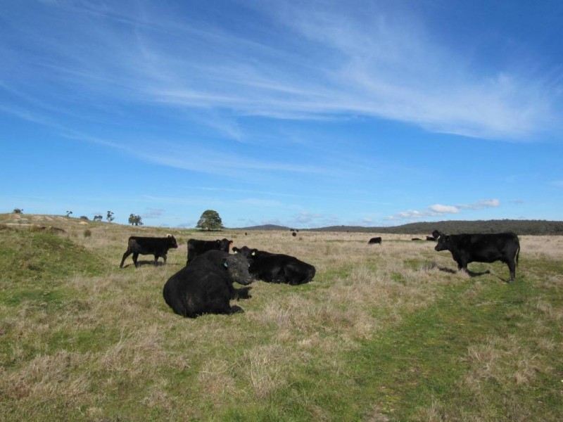 - Crn Conlans Rd, Old Calder Highway, Taradale VIC 3447