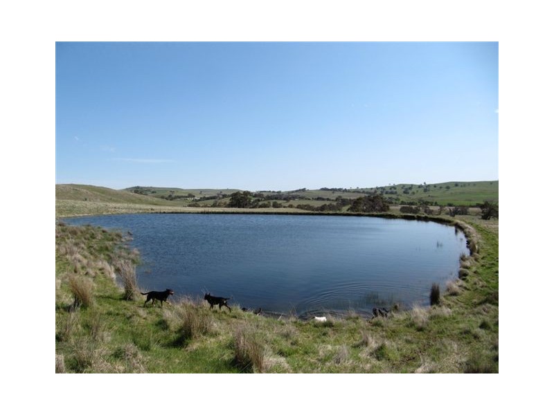 1338 Baynton Rd, Pastoria VIC 3444