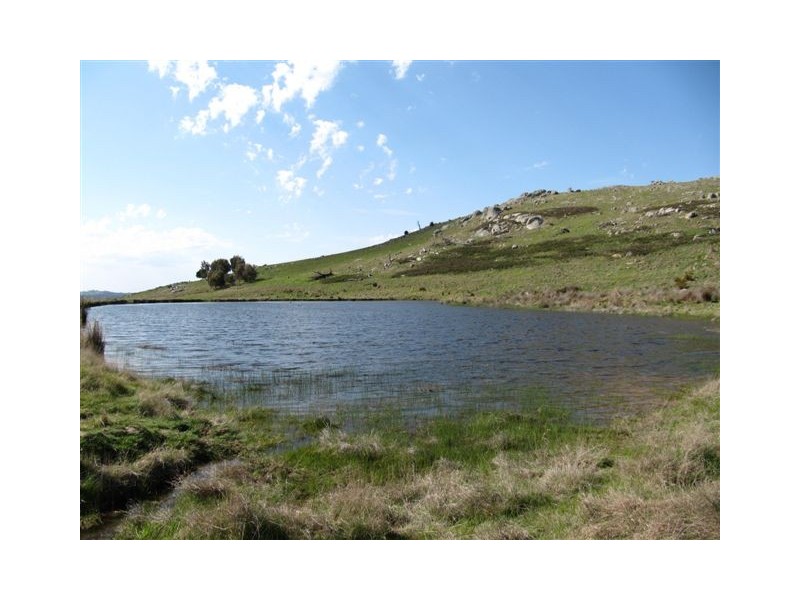 1338 Baynton Rd, Pastoria VIC 3444