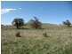 1338 Baynton Rd, Pastoria VIC 3444