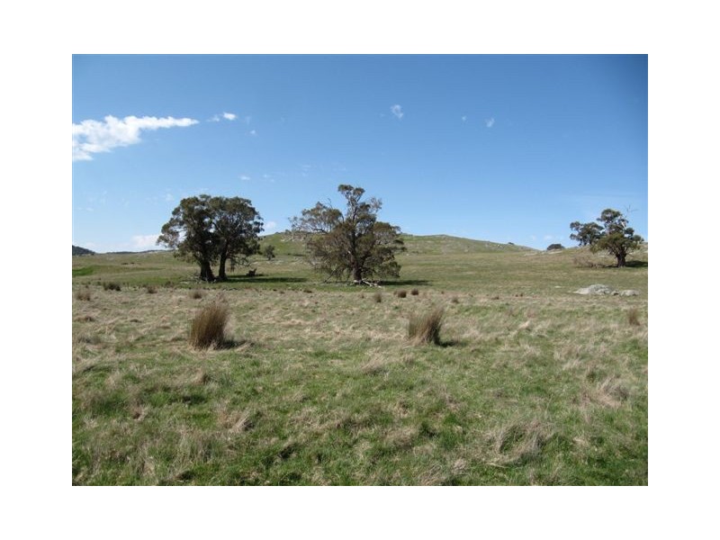 1338 Baynton Rd, Pastoria VIC 3444
