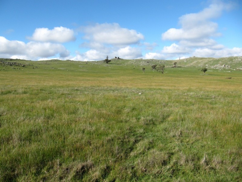 1338 Baynton Rd, Pastoria VIC 3444